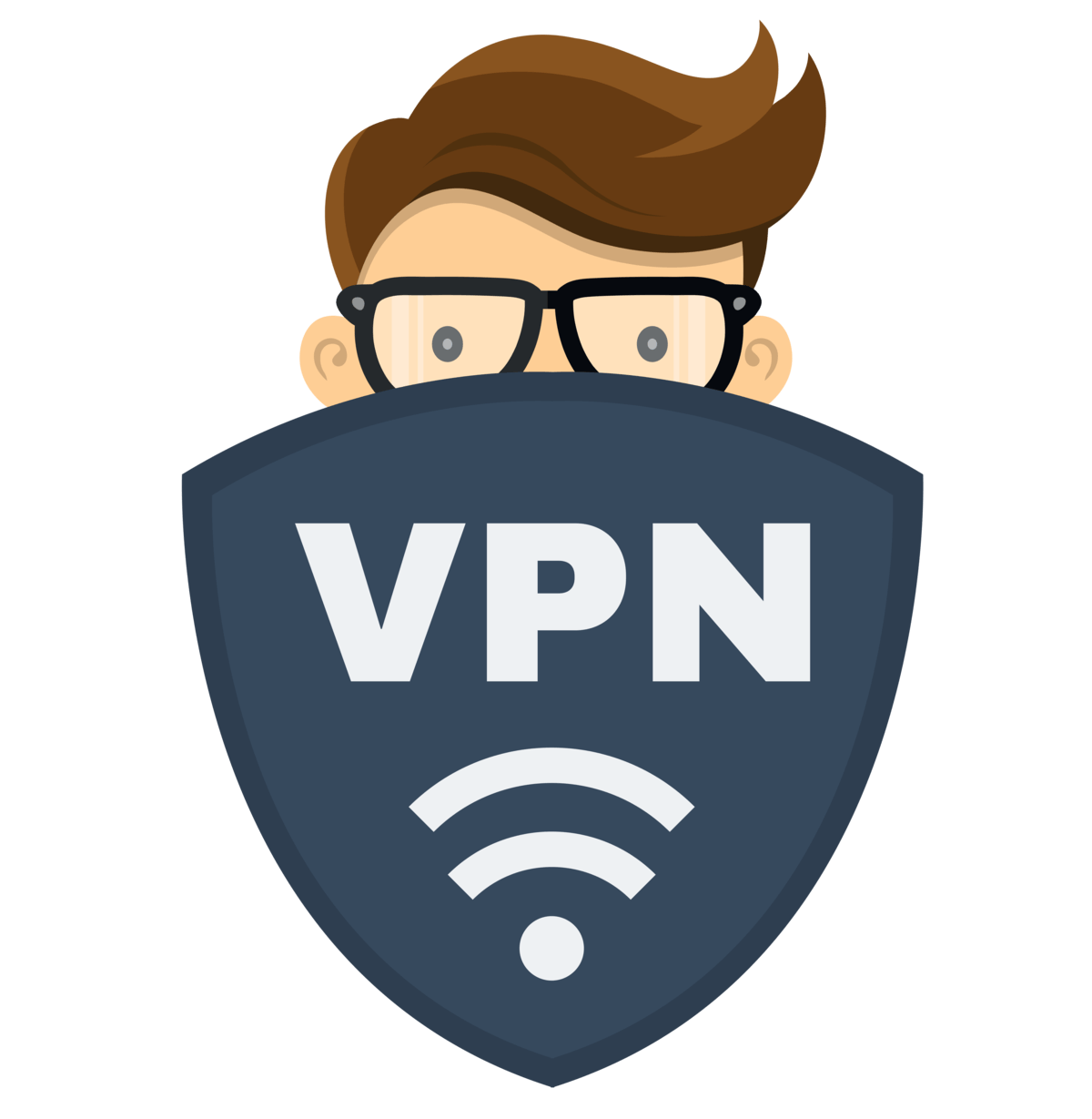 BFVPN
